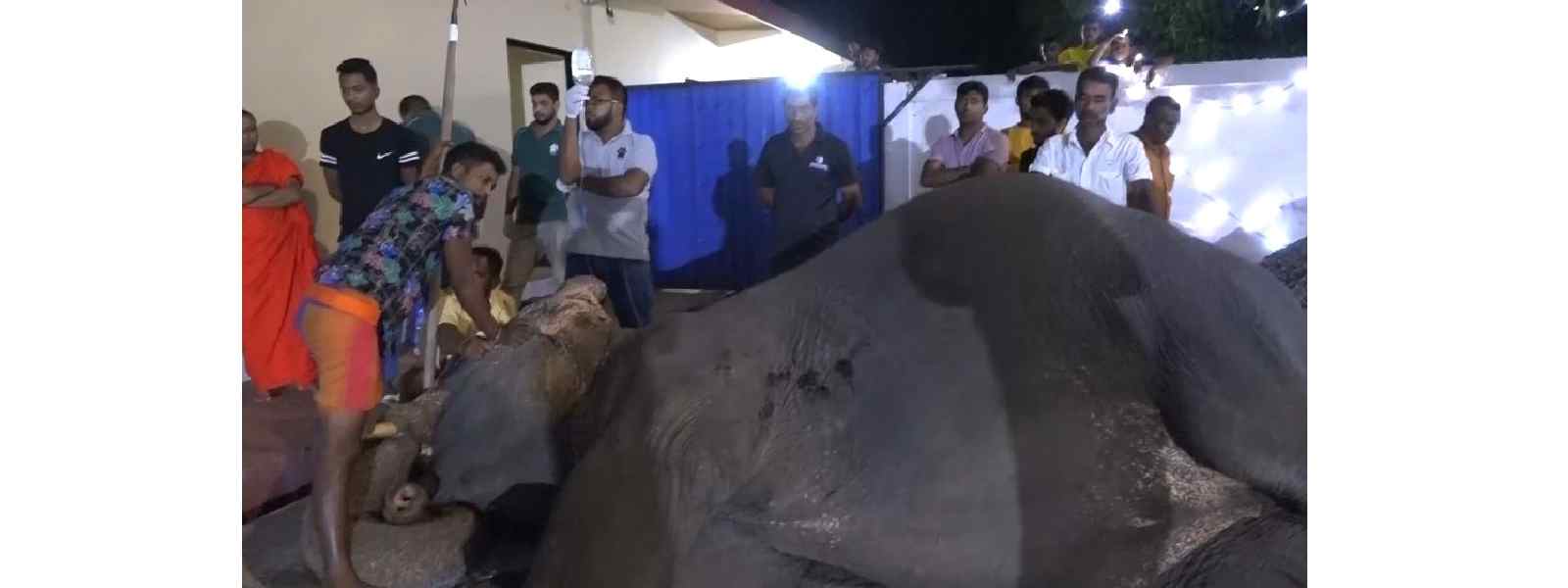 සීතාට වෙඩි තැබීම:අයෙකු අත්අඩංගුවට..